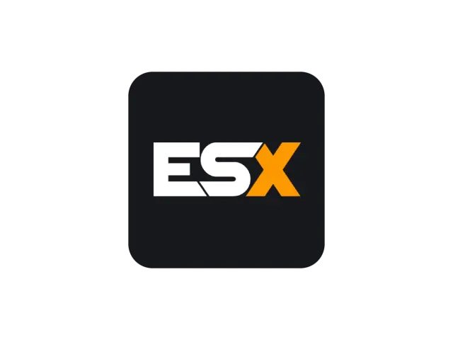 Why Does ESX Take So Long to Load Players After a Restart?