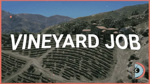 d3MBA Vineyard Winemaking Job for FiveM